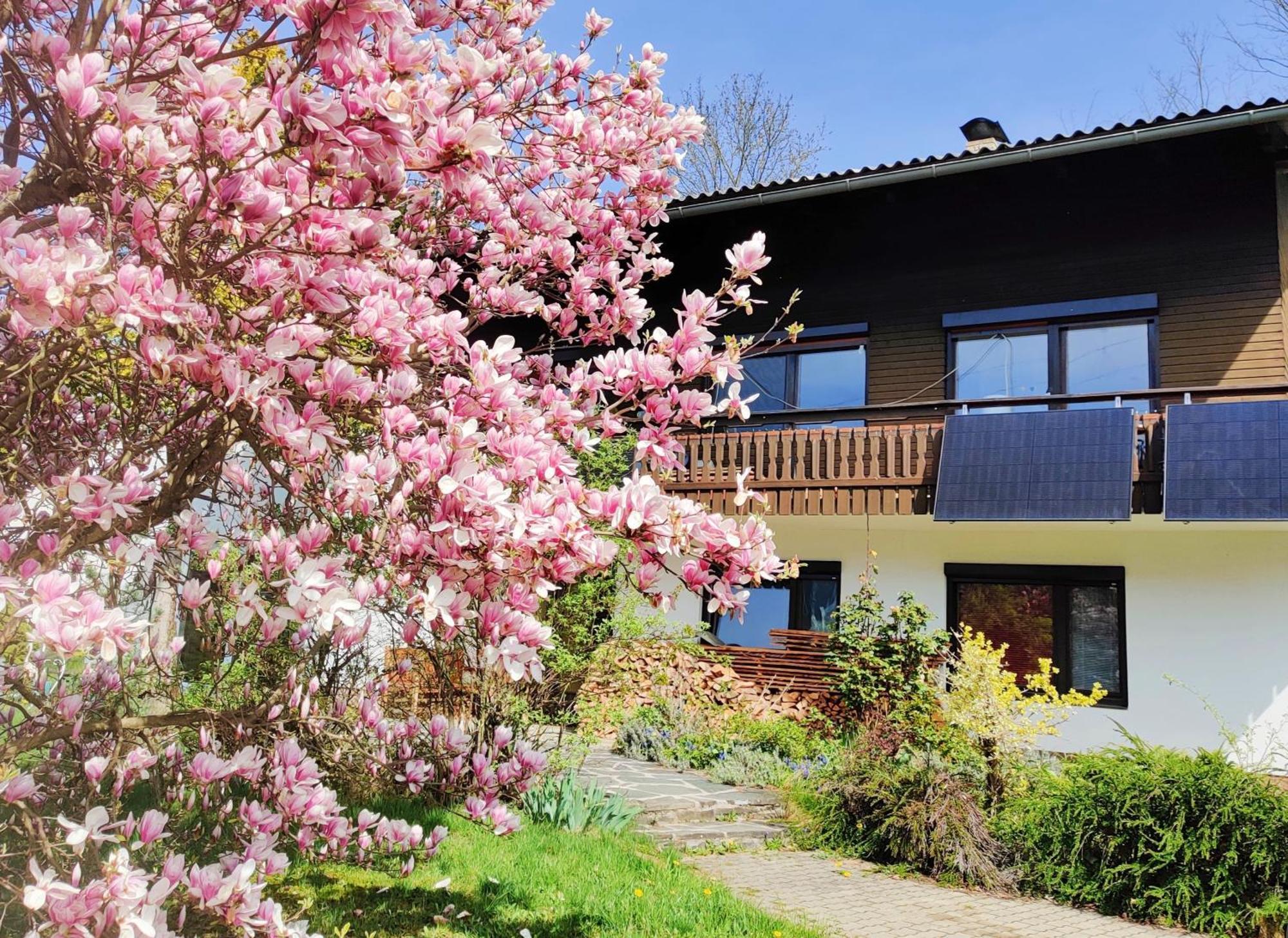 Wellness Apartment Keutschach Lakes Valley Keutschach am See Esterno foto