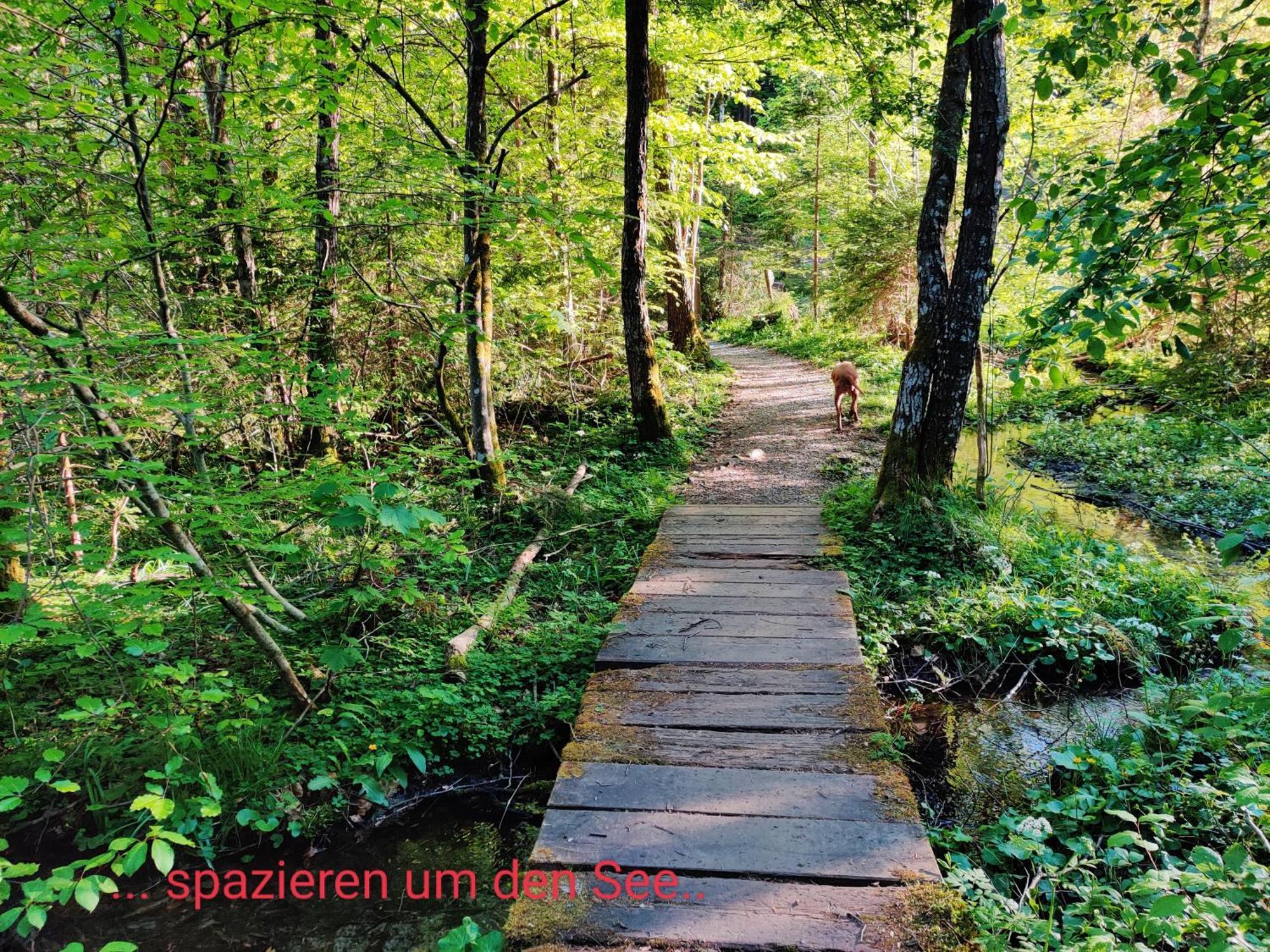Wellness Apartment Keutschach Lakes Valley Keutschach am See Esterno foto